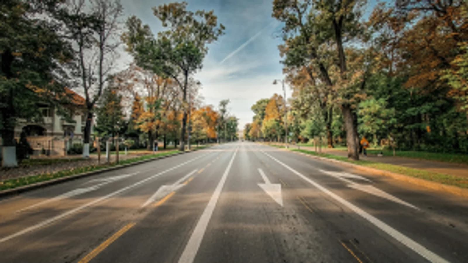Bulevard cu mai multe benzi de circulație, mărginit de copaci toamna